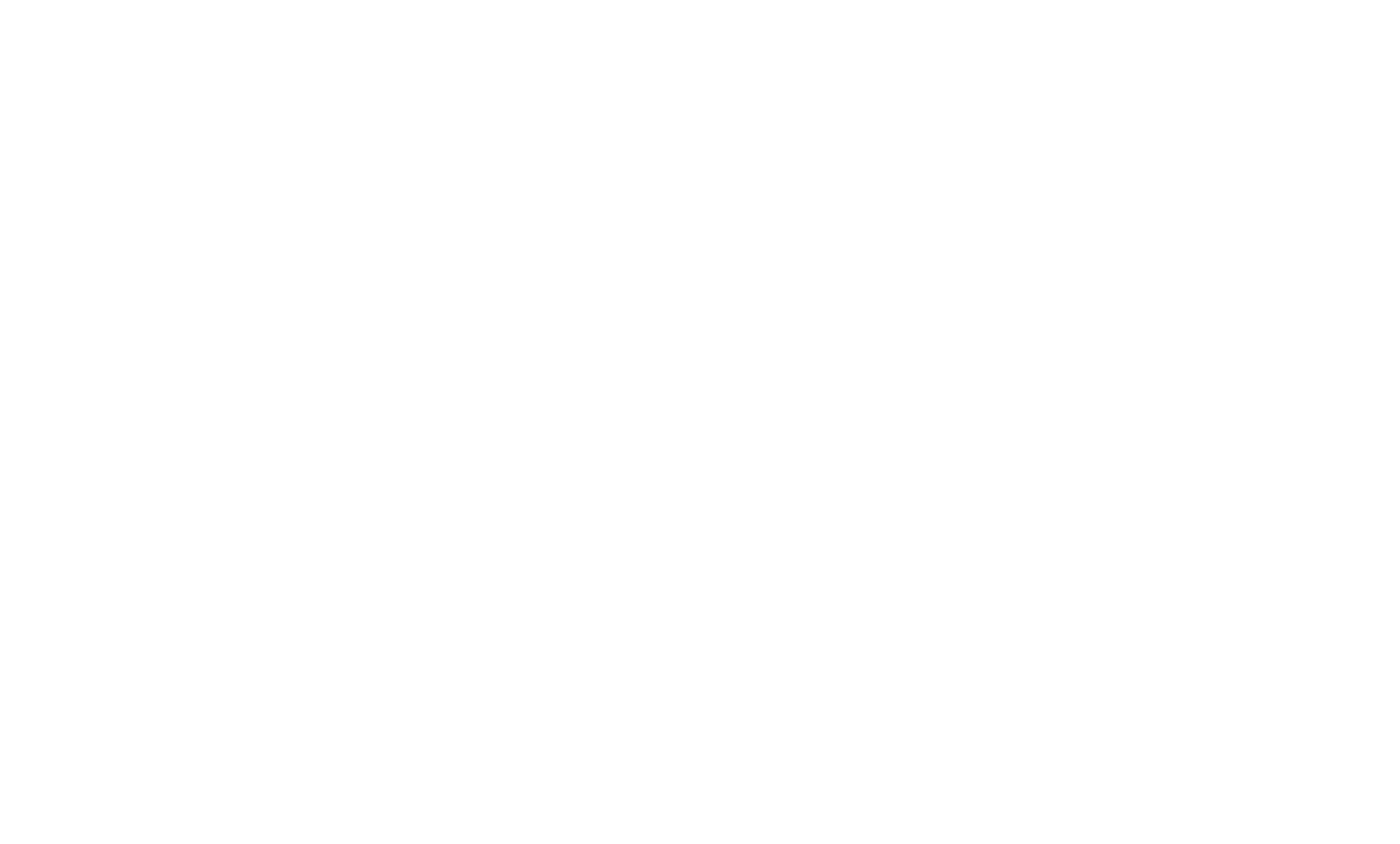 Logo KSN Bianco